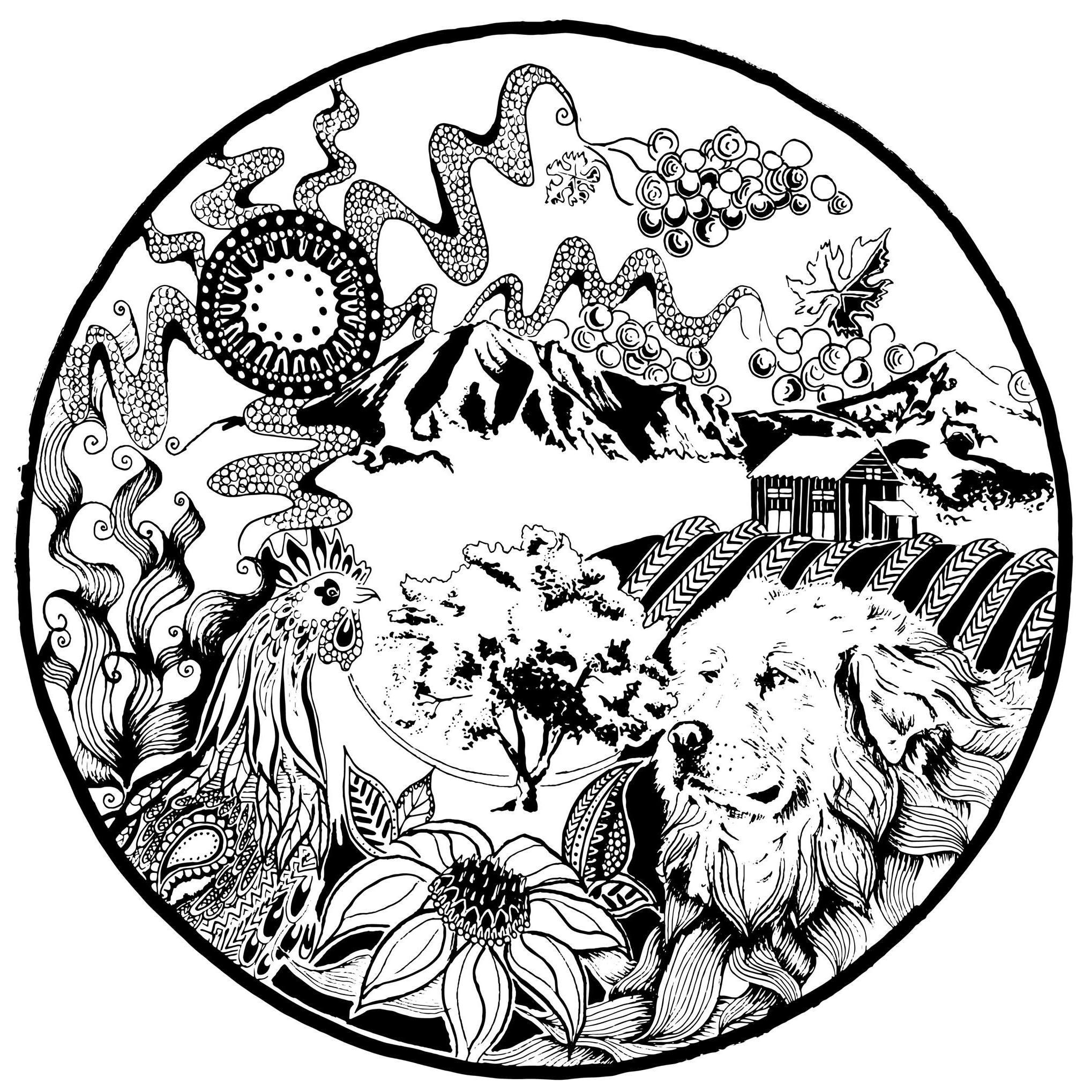 New Avalon Grower Ciders Colorado Brewery List