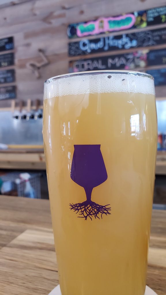 Hazy IPA at Knotted Root. Photo by Dev Adams